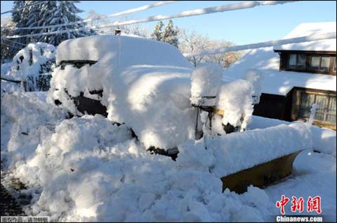 美国东北部暴风雪致19人遇难机场大量旅客滞留 天气预报40天